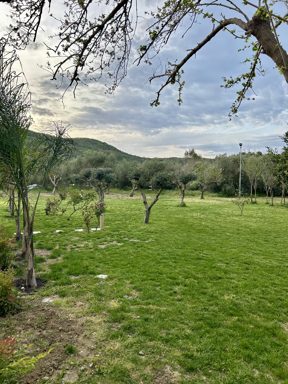 VILA 3 image 1